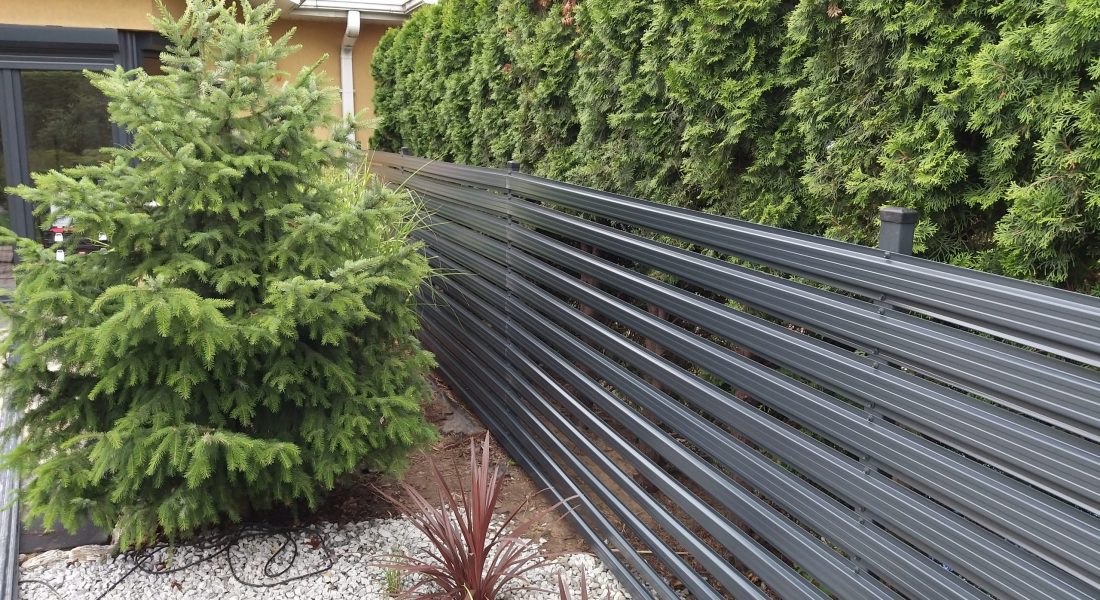 20190723_164758 20190723_164758